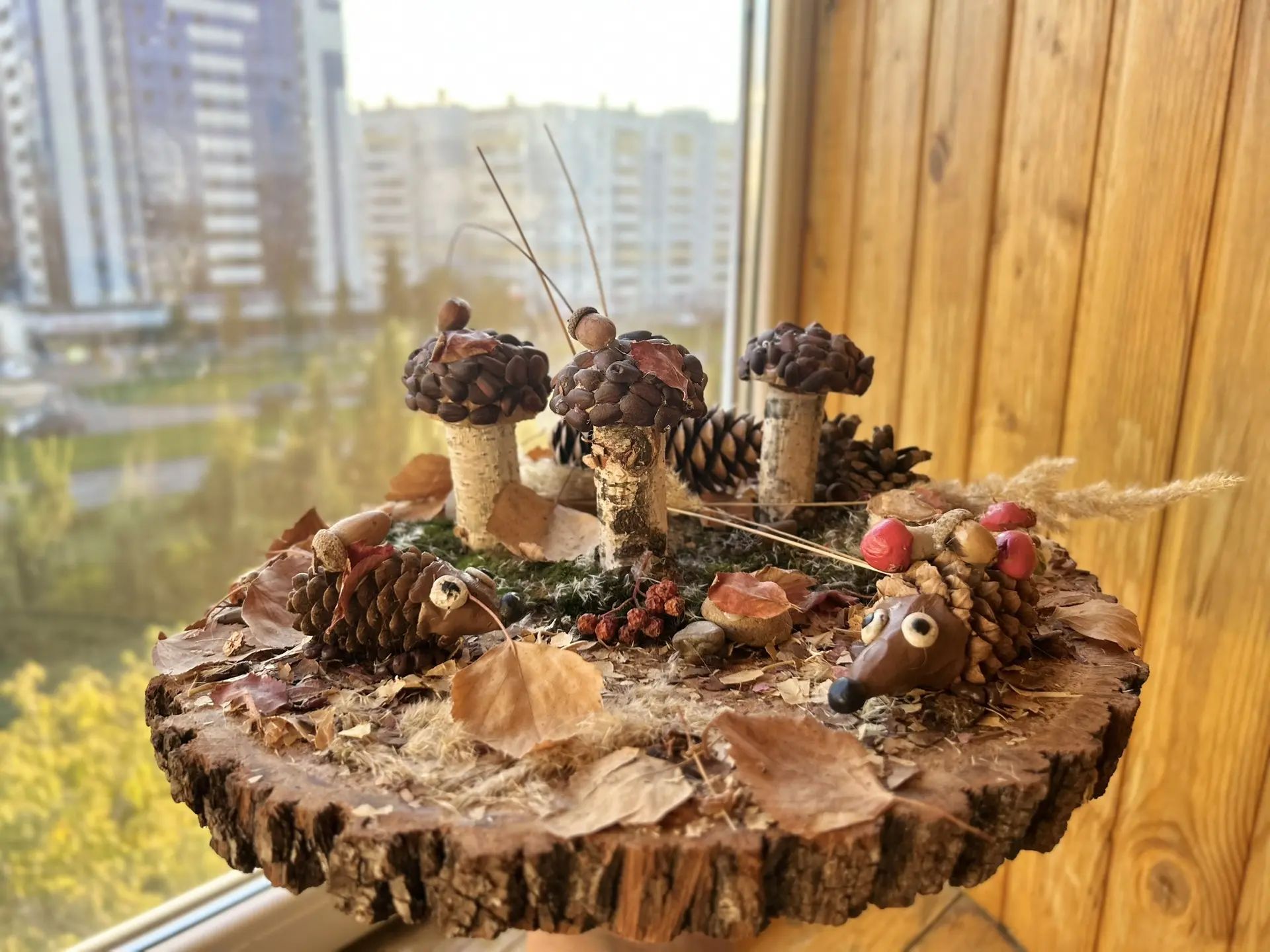 Краски осени